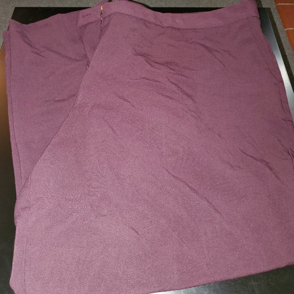 🤩3/$15! NWT Avenue plum dress pants (24W)